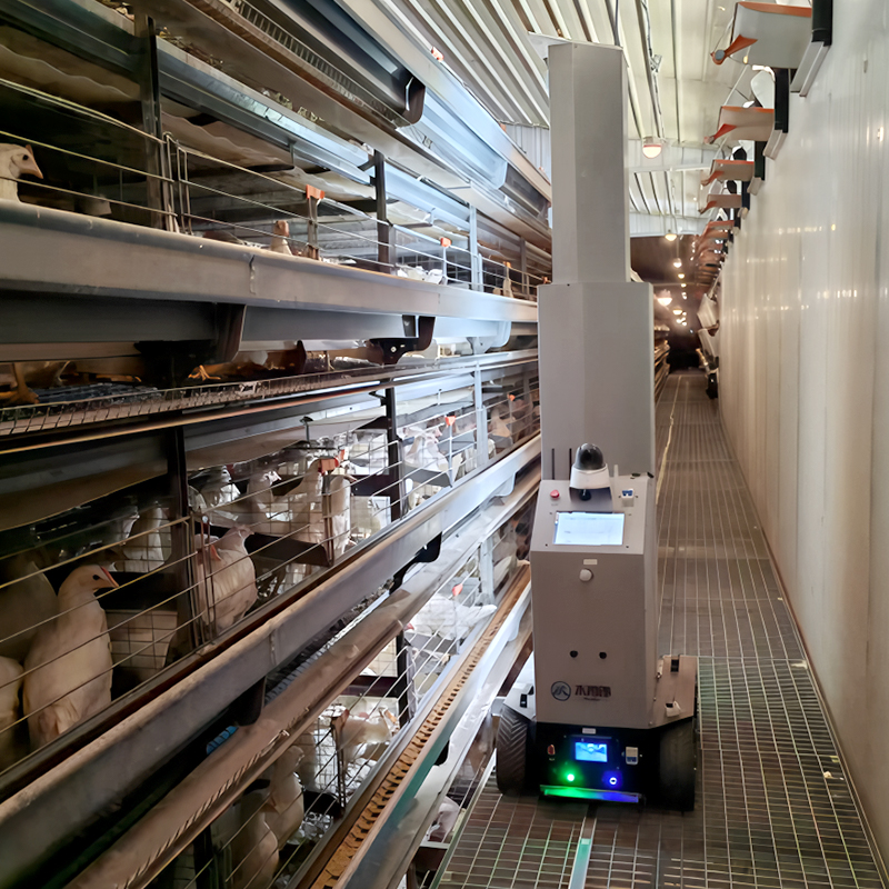 Poultry‑house Inspection Robot