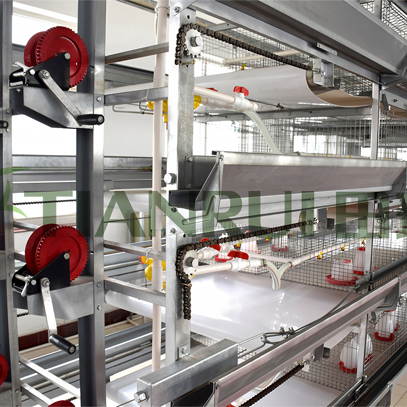 Broiler Cage‑Rearing Equipment