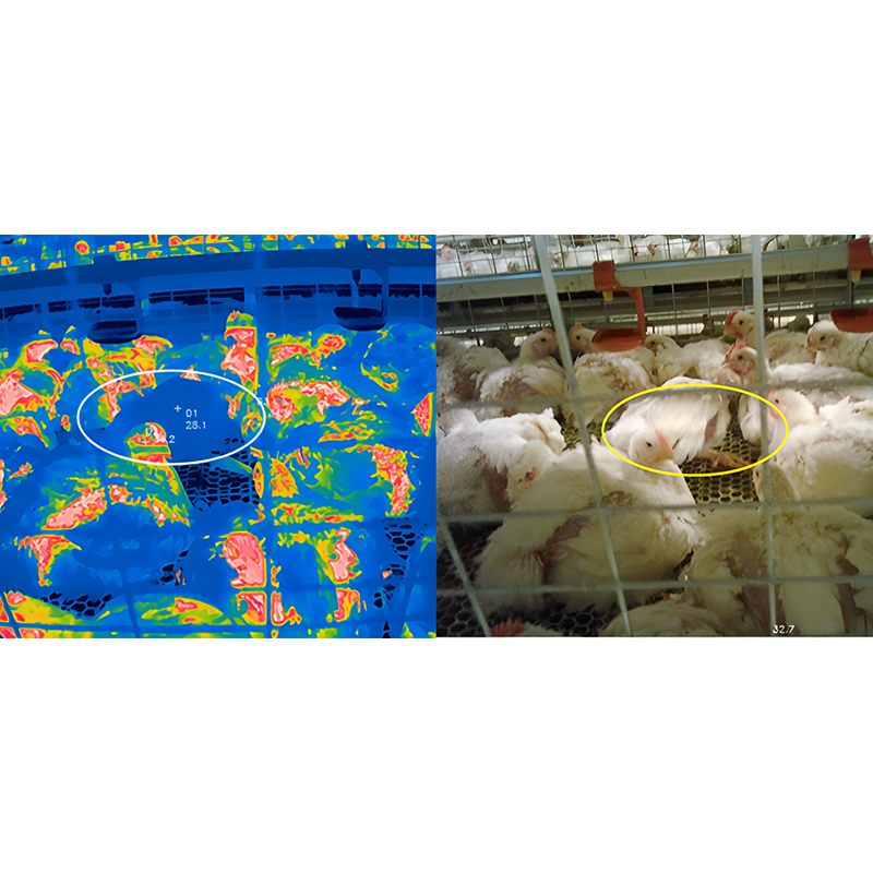 Poultry‑house Inspection Robot