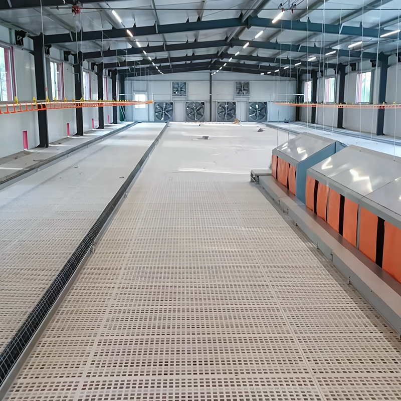 Breeder Floor‑Rearing Equipment