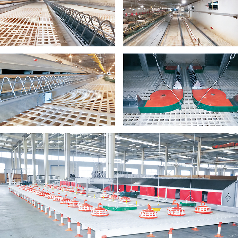 Breeder Floor‑Rearing Equipment