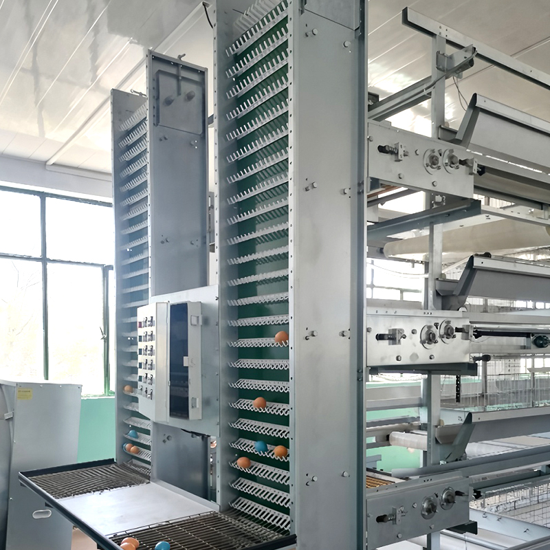 Layer Cage System