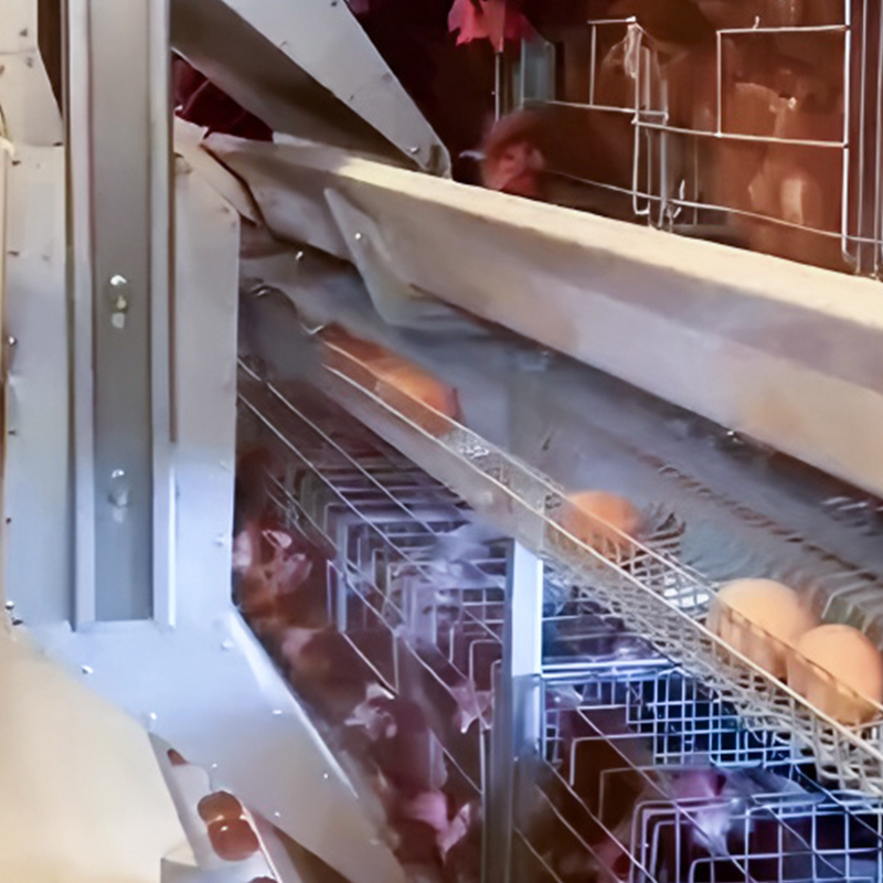 Layer Cage System