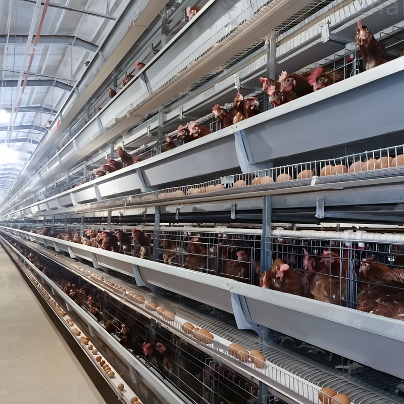 Layer Cage System