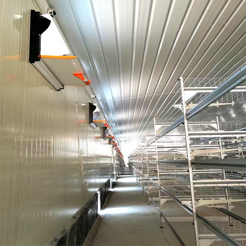 Steel‑Structure Poultry House