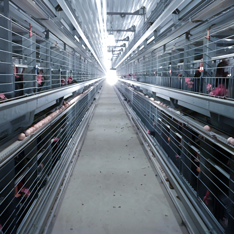 Breeder Cage‑Rearing Equipment