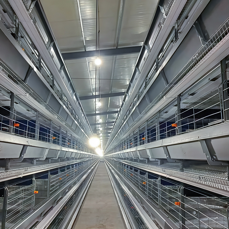 Layer Cage System