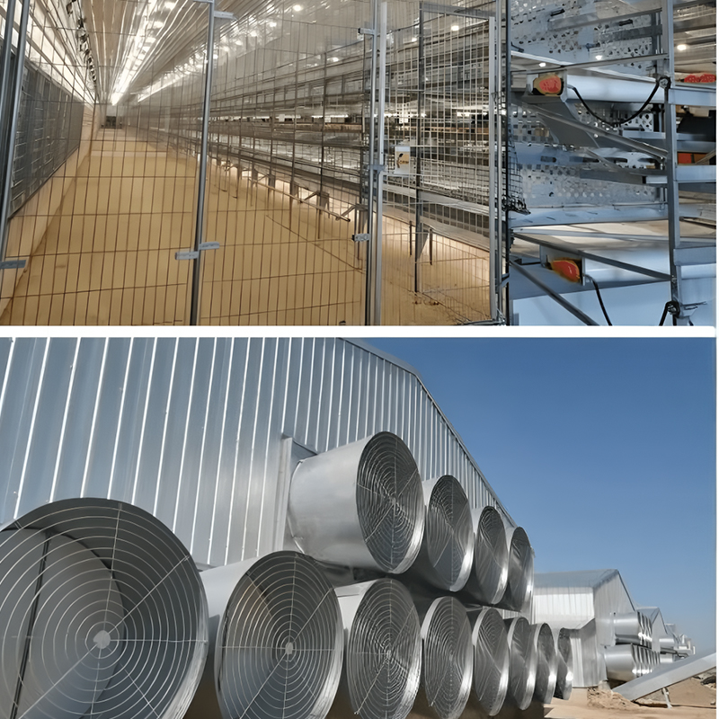 Cage‑Free Equipment