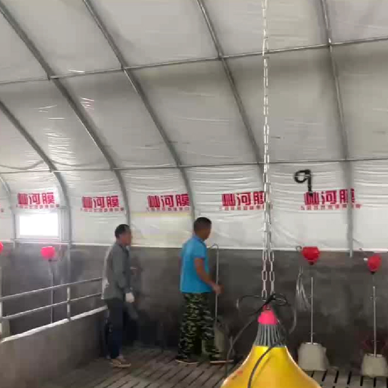 Greenhouse‑type Poultry House