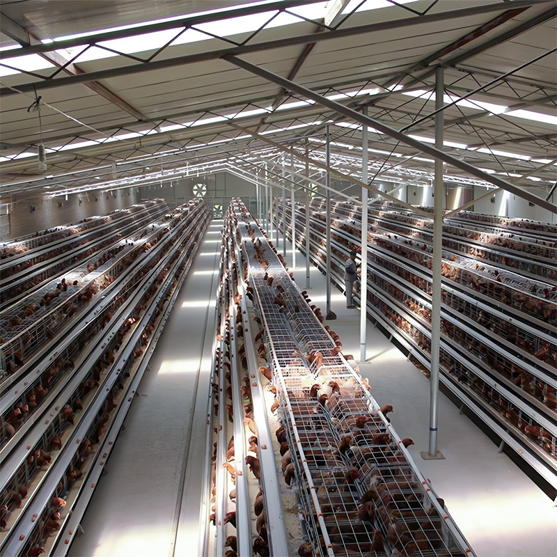 Layer Cage System