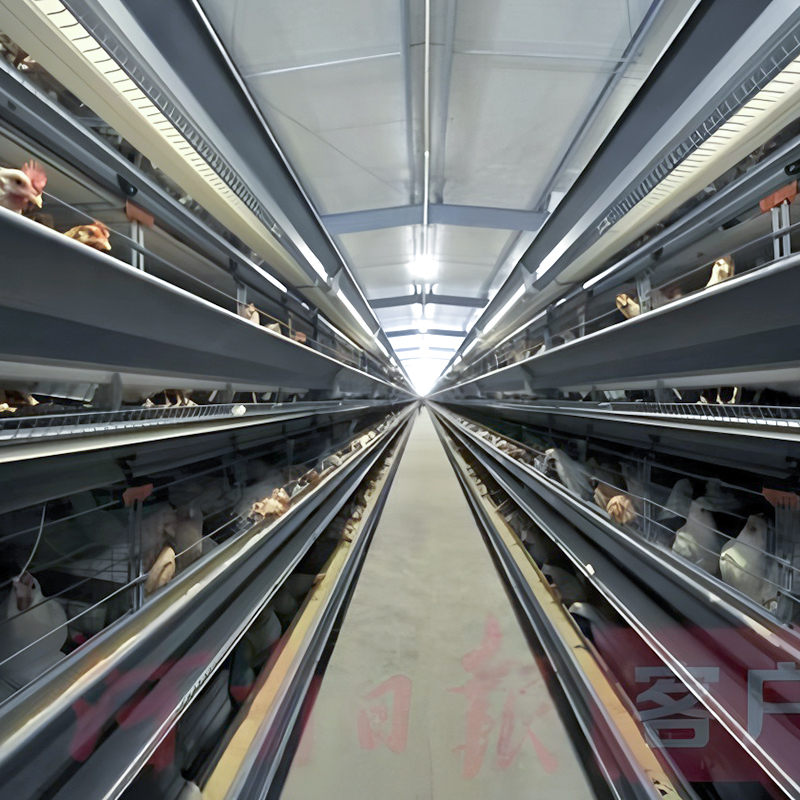 Layer Cage System