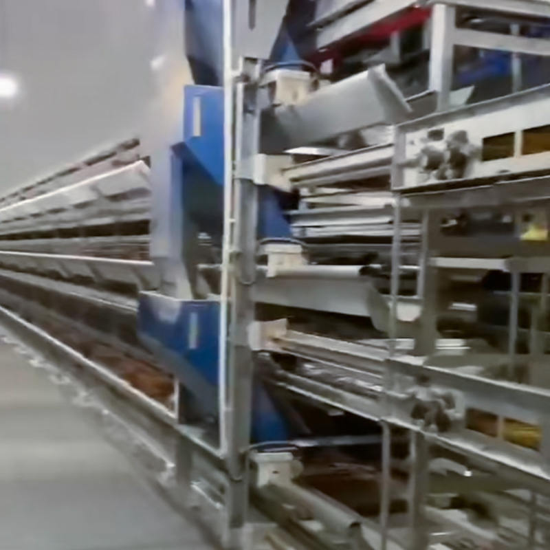 Breeder Cage‑Rearing Equipment