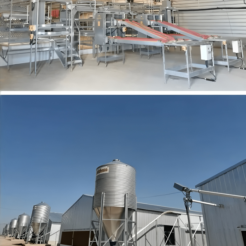 Cage‑Free Equipment